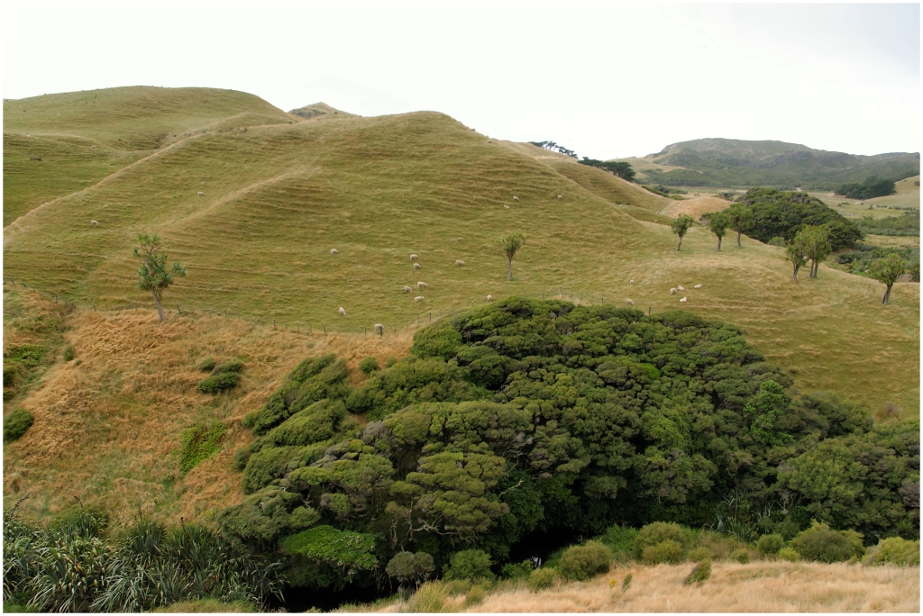 11 - Cape Farewell (02).jpg